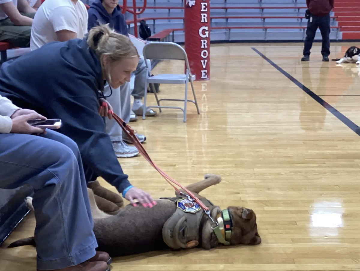 Police Puppies- Simon Youth Academy student, Brooke Cliburn, pets a K9 that was brought in for a presentation. The students learned about the various dogs that are used in law inforcement and their roles. “I enjoyed meeting each dog and learning about their roles. It was a great time,” Said Brooke Cliburn.